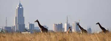Nairobi Guide